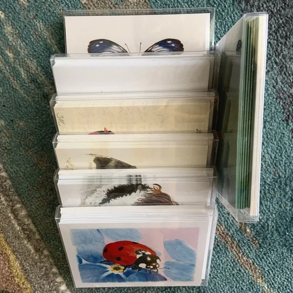 Boxed Set of 6 Pumpkin Notecards Cards - Picture 3 of 4